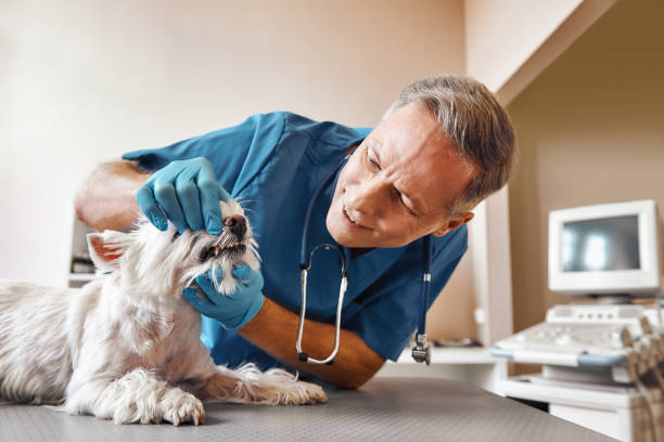 Best Emergency Dentist for Special Needs Patients in Lockney, TX
